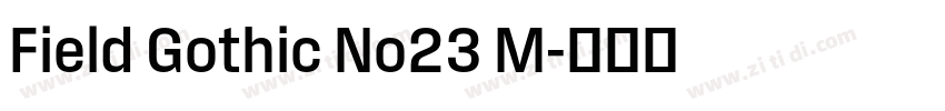 Field Gothic No23 M字体转换